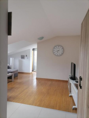 Apartman Savic